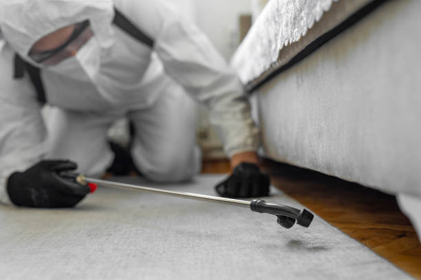 Professional Termite Control technician working in Ensley, FL