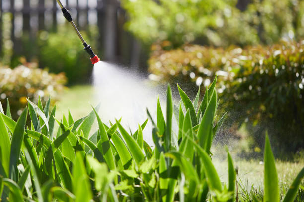 24/7 Emergency Termite Control experts in Ensley, FL