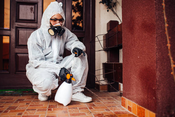 Reliable Termite Control contractor in Ensley, FL by Nex Pest Control
