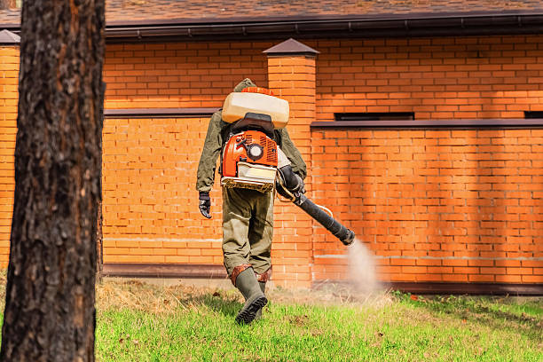 Trusted Emergency Pest Control service in Ensley, FL - Nex Pest Control